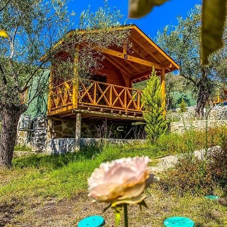 Kazdaglari Saglikli Yasam Koeyue Hotel Edremit  Ngoại thất bức ảnh